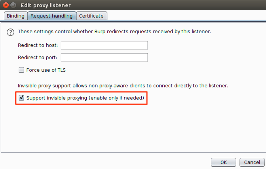 Enabling invisible proxying